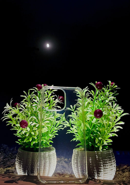 Transparent Clear Back Cover for iPhone 15 Pro Max